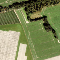 Satellite imagery of Borghitter, NL