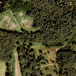Satellite imagery of 407, NL