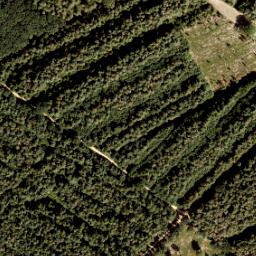 Satellite imagery of 386, NL