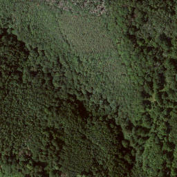 Satellite imagery of Ochsenwurzelskopf, DE