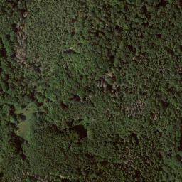 Satellite imagery of Ochsenwurzelskopf, DE