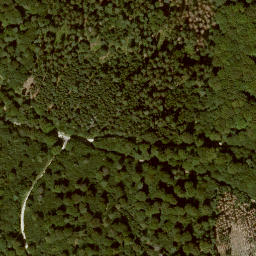 Satellite imagery of Schleifsteinskopf, DE