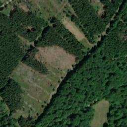 Satellite imagery of Salmbachskopf, DE