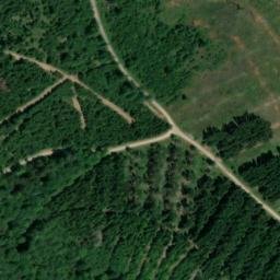 Satellite imagery of Salmbachskopf, DE