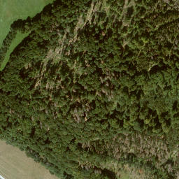 Satellite imagery of Beerberg, DE
