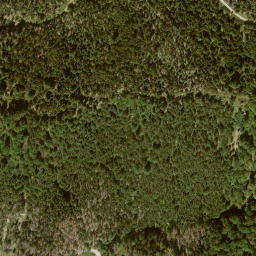 Satellite imagery of Beerberg, DE