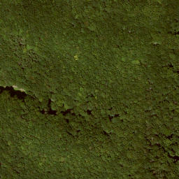 Satellite imagery of Wolftalskopf, DE