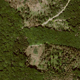 Satellite imagery of Wolftalskopf, DE