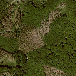 Satellite imagery of Finkenberg, DE