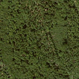 Satellite imagery of Asbachhöhe, DE