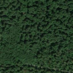 Satellite imagery of Kuhkopf, DE