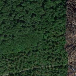 Satellite imagery of Kuhkopf, DE