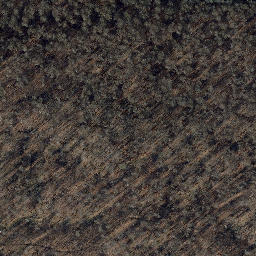 Satellite imagery of Kuhkopf, DE