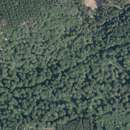 Satellite imagery of Raunsberg, DE