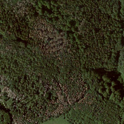 Satellite imagery of Ochsenwurzelskopf, DE