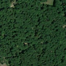 Satellite imagery of Salmbachskopf, DE
