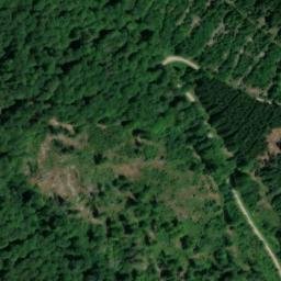 Satellite imagery of Salmbachskopf, DE