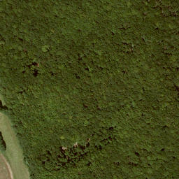 Satellite imagery of Wolftalskopf, DE