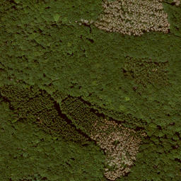 Satellite imagery of Wolftalskopf, DE
