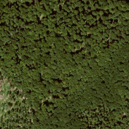 Satellite imagery of Hoher Rain, DE