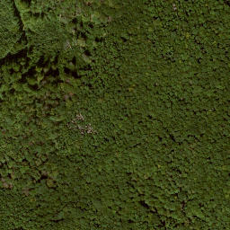 Satellite imagery of Karnberg, DE