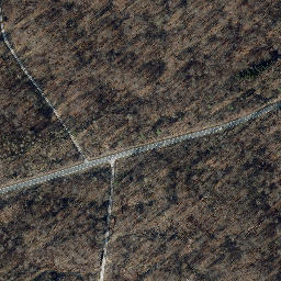 Satellite imagery of Kuhkopf, DE