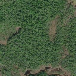Satellite imagery of Cape Caution, CA