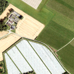 Satellite imagery of Borghitter, NL