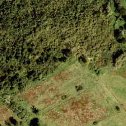 Satellite imagery of 135, NL