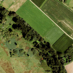 Satellite imagery of 135, NL