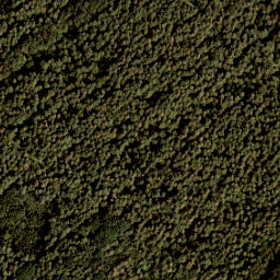 Satellite imagery of 384, NL