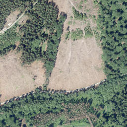 Satellite imagery of Uhlenstein, DE