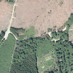 Satellite imagery of Griesing, DE