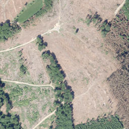 Satellite imagery of Griesing, DE