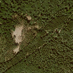 Satellite imagery of Schleifsteinskopf, DE