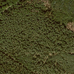 Satellite imagery of Quillerkopf, DE
