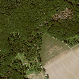 Satellite imagery of Wolftalskopf, DE