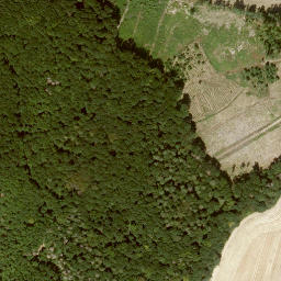 Satellite imagery of Rohenberg, DE