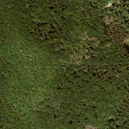 Satellite imagery of Hoher Rain, DE