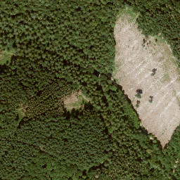 Satellite imagery of Hoher Rain, DE