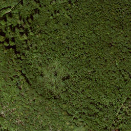Satellite imagery of Muhlienberg, DE