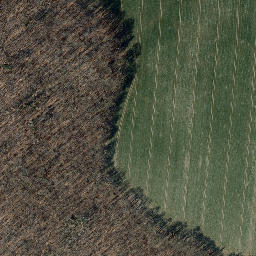 Satellite imagery of Ehrberg, DE