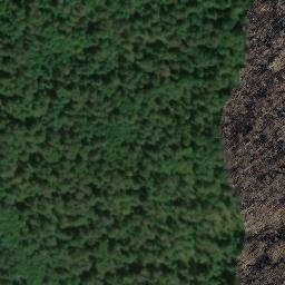 Satellite imagery of Kuhkopf, DE
