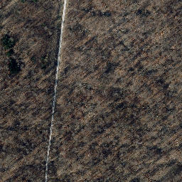 Satellite imagery of Kuhkopf, DE
