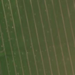 Satellite imagery of Kalte Else, DE