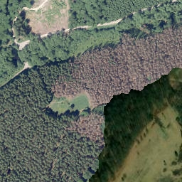 Satellite imagery of Griesing, DE
