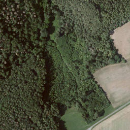 Satellite imagery of Wolfskaute, DE