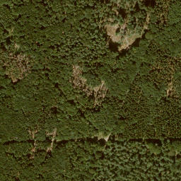Satellite imagery of Mönchskopf, DE