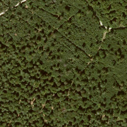 Satellite imagery of Quillerkopf, DE