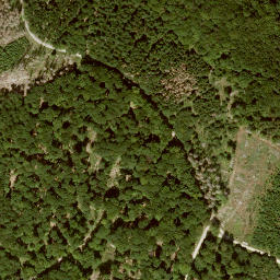 Satellite imagery of Dachsberg, DE